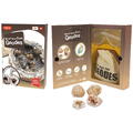 Keycraft Kit geologic - Geode