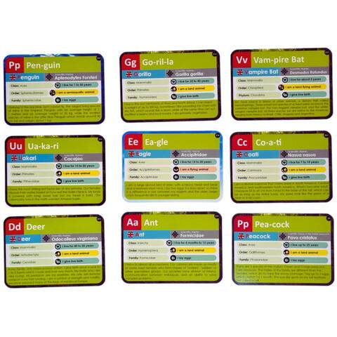 K-TOYZ Joc lingvistic Learning Cube® - Arca lui Noe
