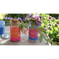 Chalk and Chuckles Set creativ - Accesoriile magice ale zanei