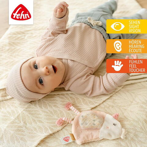 Fehn Jucarie fosnitoare - Pasare pastel