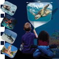 Natural History Museum Proiector tip lanterna - Animalute marine