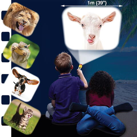 Brainstorm Proiector tip lanterna - Distractie cu animalute