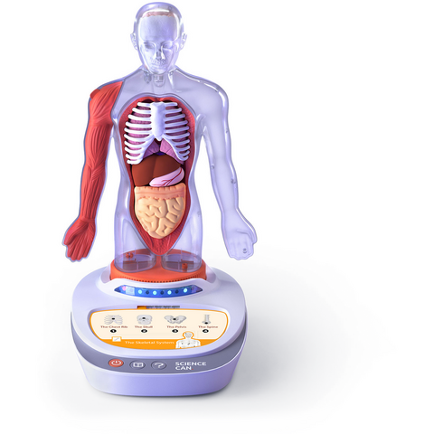 Science Can Descopera corpul uman - Enciclopedie Interactiva STEAM