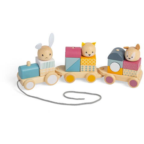 BIGJIGS Toys Trenulet cu forme - Animalute vesele