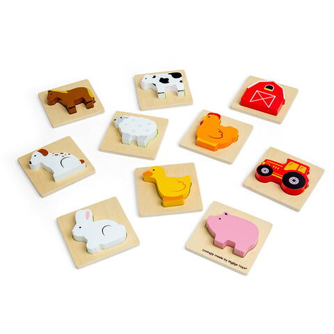 BIGJIGS Toys Joc Simte si gaseste - Ferma