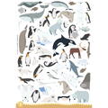 Sassi Primul set de arta & lucru manual - Animalute