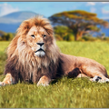 Brainstorm Proiector tip lanterna - Cele mai periculoase animale