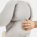 Care Pets Joc de rol interactiv - Mamica si puiul de iepuras