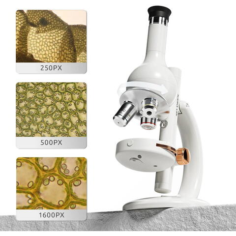 Science Can Mini laboratorul meu cu microscop
