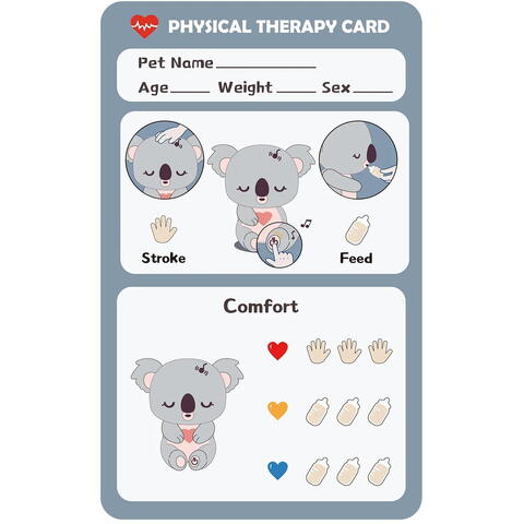 Care Pets Joc de rol interactiv - Puiul de Koala