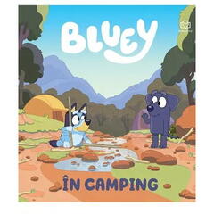 Bluey - In camping