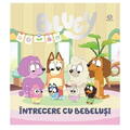 Bookzone Bluey - Intrecere cu bebelusi