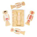 BIGJIGS Toys Puzzle anatomic din lemn - Baiat