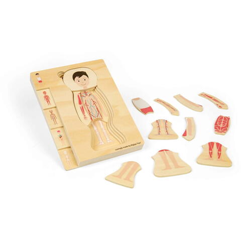 BIGJIGS Toys Puzzle anatomic din lemn - Baiat