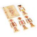 BIGJIGS Toys Puzzle anatomic din lemn - Fetita