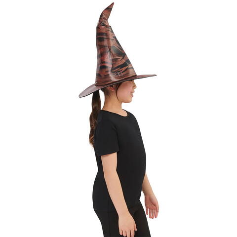 Rubies Palarie magica & insigne Harry Potter