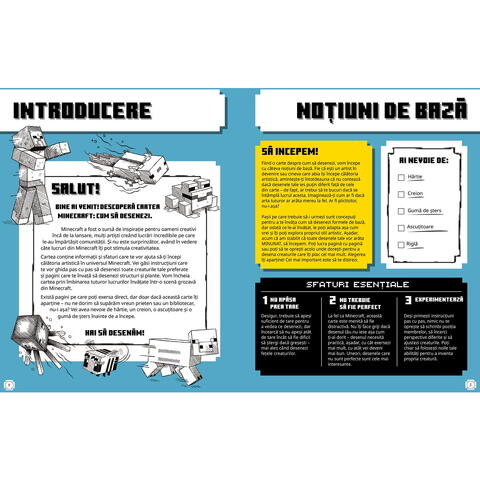 DPH Minecraft. Cum sa desenezi - Un ghid pas cu pas