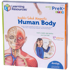 Learning Resources Corpul uman - set magnetic