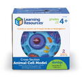 Learning Resources Sectiunea celulei animale