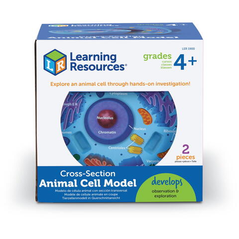 Learning Resources Sectiunea celulei animale