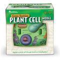 Learning Resources Sectiunea celulei plantei