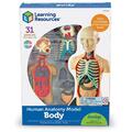 Learning Resources Macheta corpul uman
