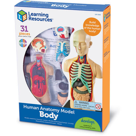 Learning Resources Macheta corpul uman