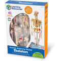 Learning Resources Macheta corpul uman - Schelet