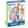 Learning Resources Macheta corpul uman - Schelet