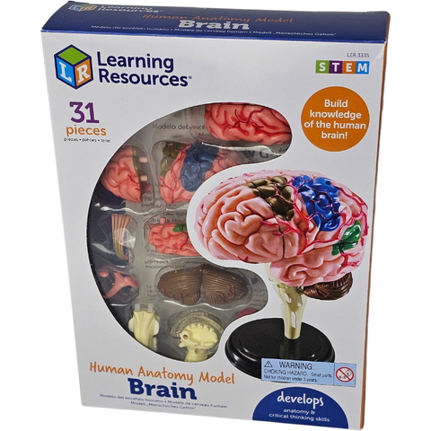 Learning Resources Macheta creierul uman