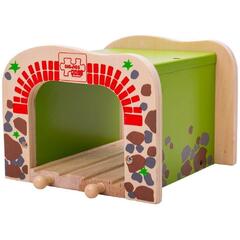 Tunel dublu